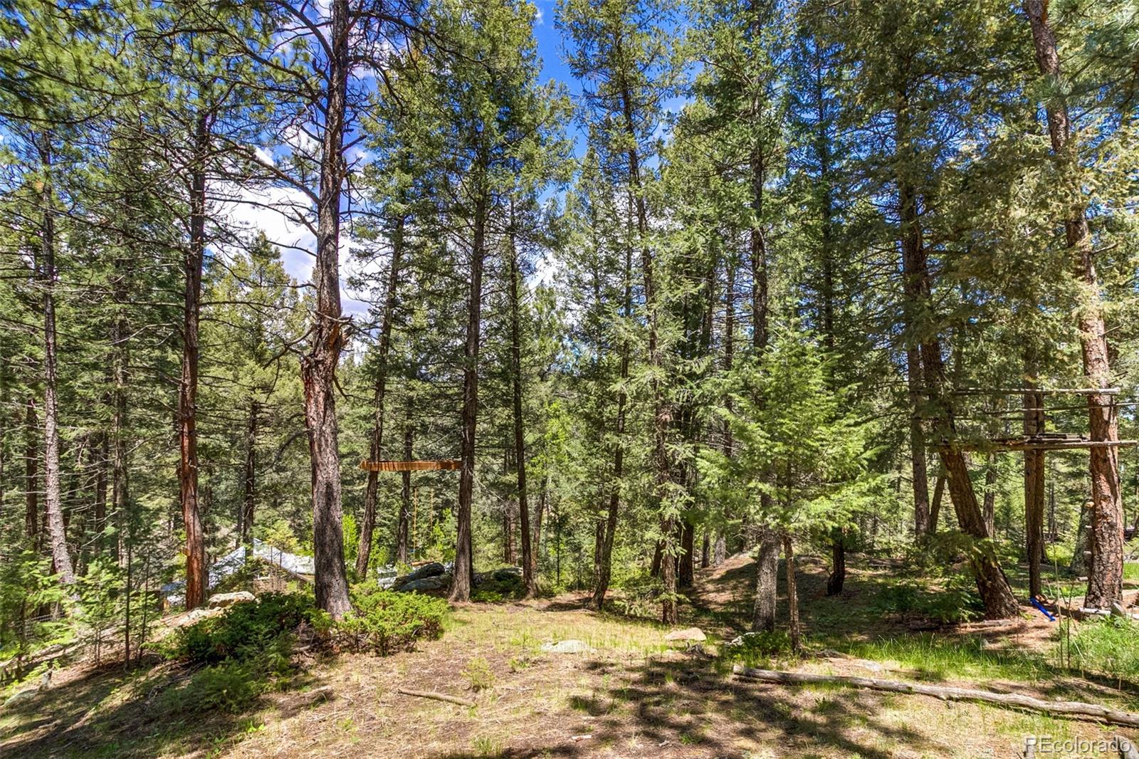 MLS Image #32 for 7364  rossman gulch road,morrison, Colorado