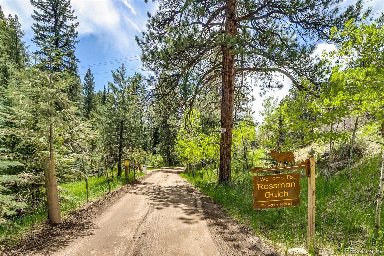 MLS Image #36 for 7364  rossman gulch road,morrison, Colorado
