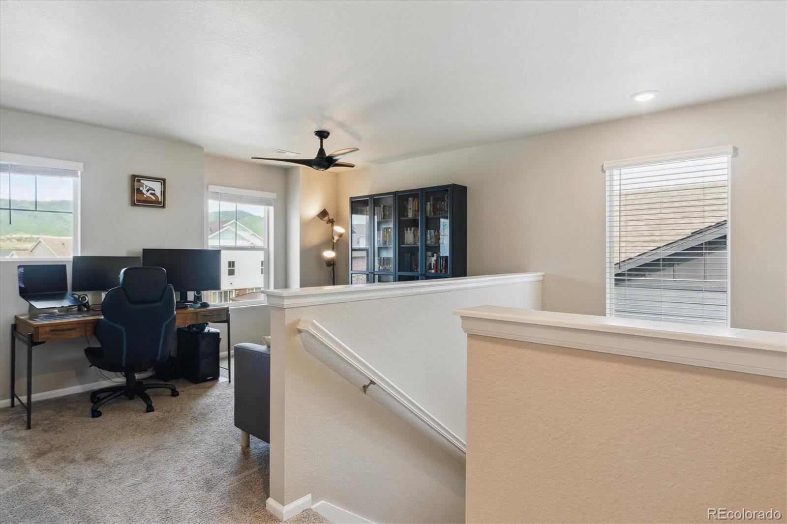 MLS Image #19 for 9807  rosalee peak street,littleton, Colorado