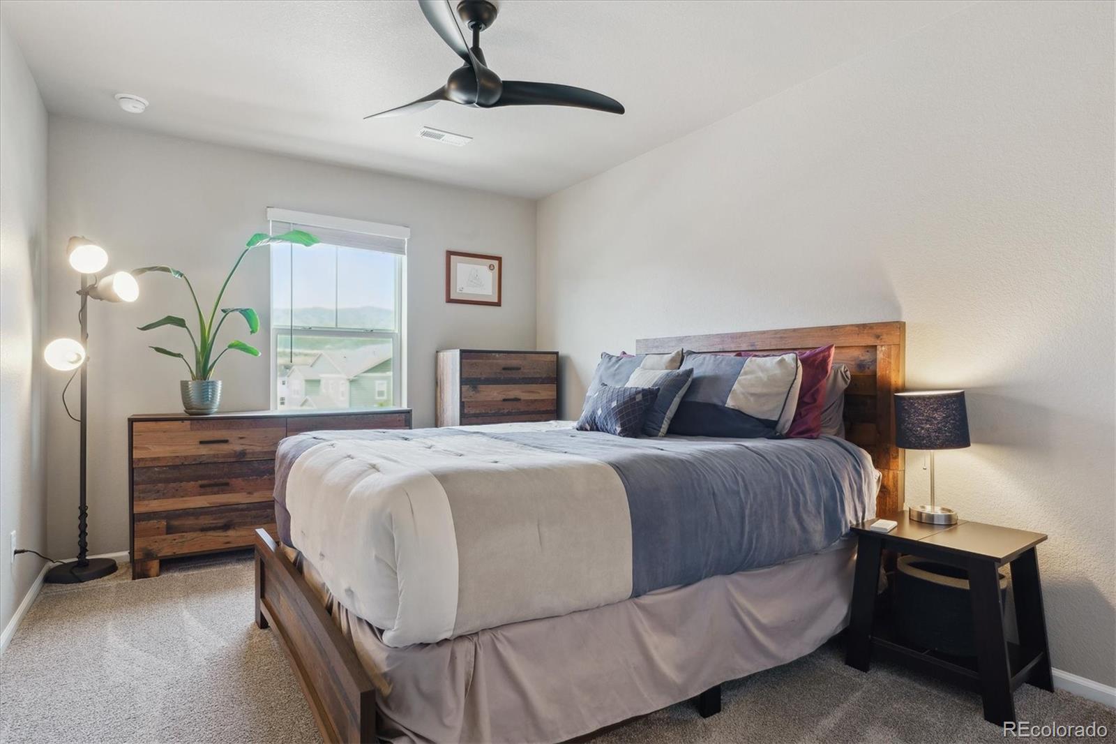 MLS Image #22 for 9807  rosalee peak street,littleton, Colorado