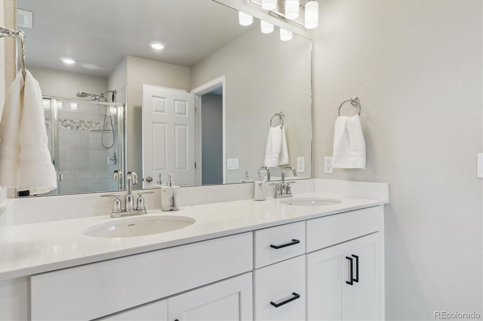MLS Image #29 for 9807  rosalee peak street,littleton, Colorado