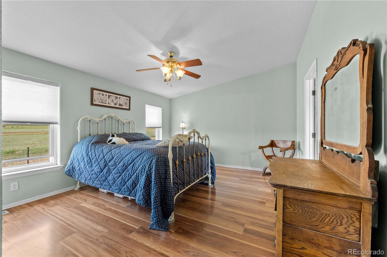 MLS Image #4 for 235  blazing saddle trail,cotopaxi, Colorado
