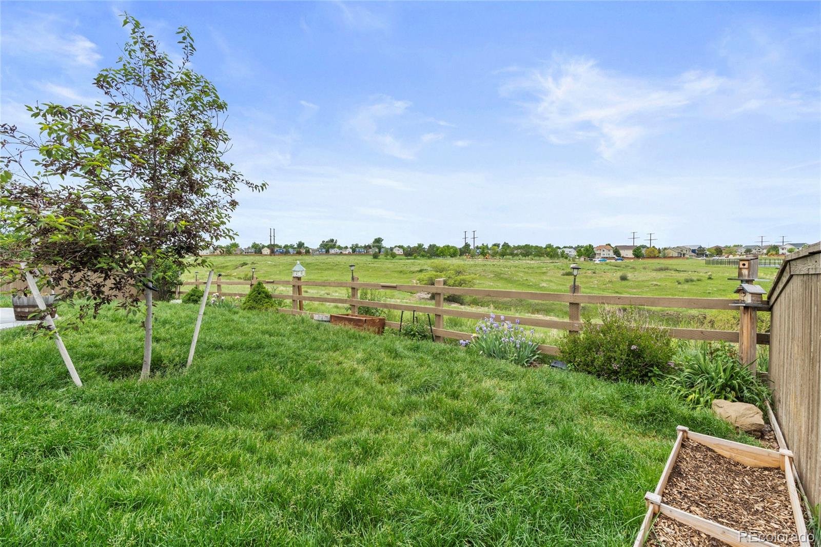 MLS Image #35 for 5864  turnstone place,castle rock, Colorado