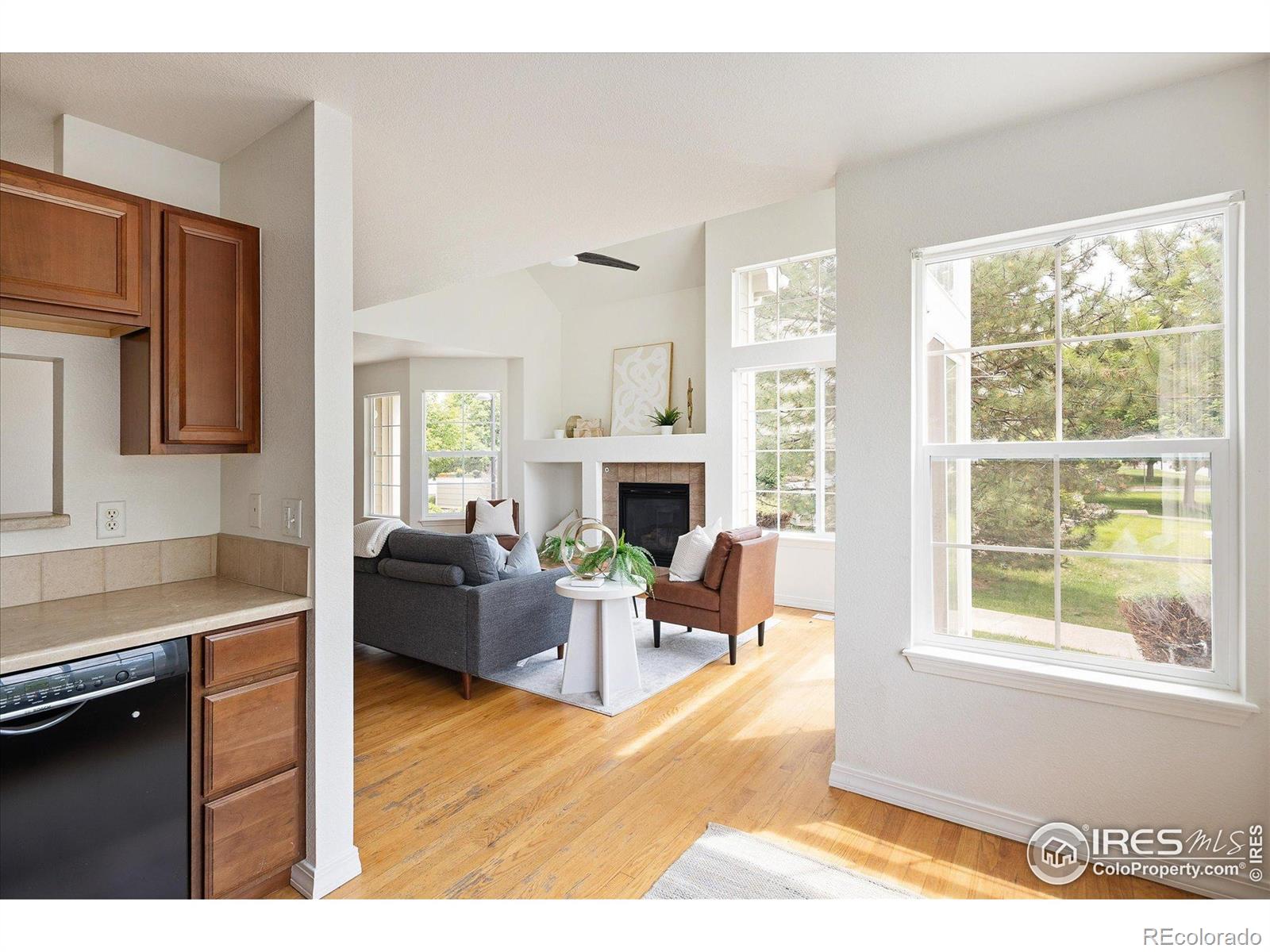 MLS Image #10 for 805  summer hawk drive,longmont, Colorado