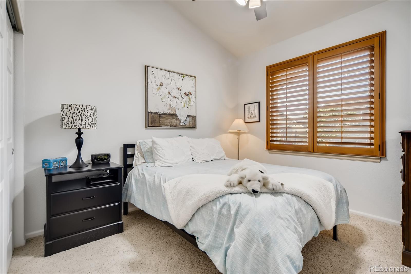 MLS Image #19 for 9451  desert willow trail,highlands ranch, Colorado