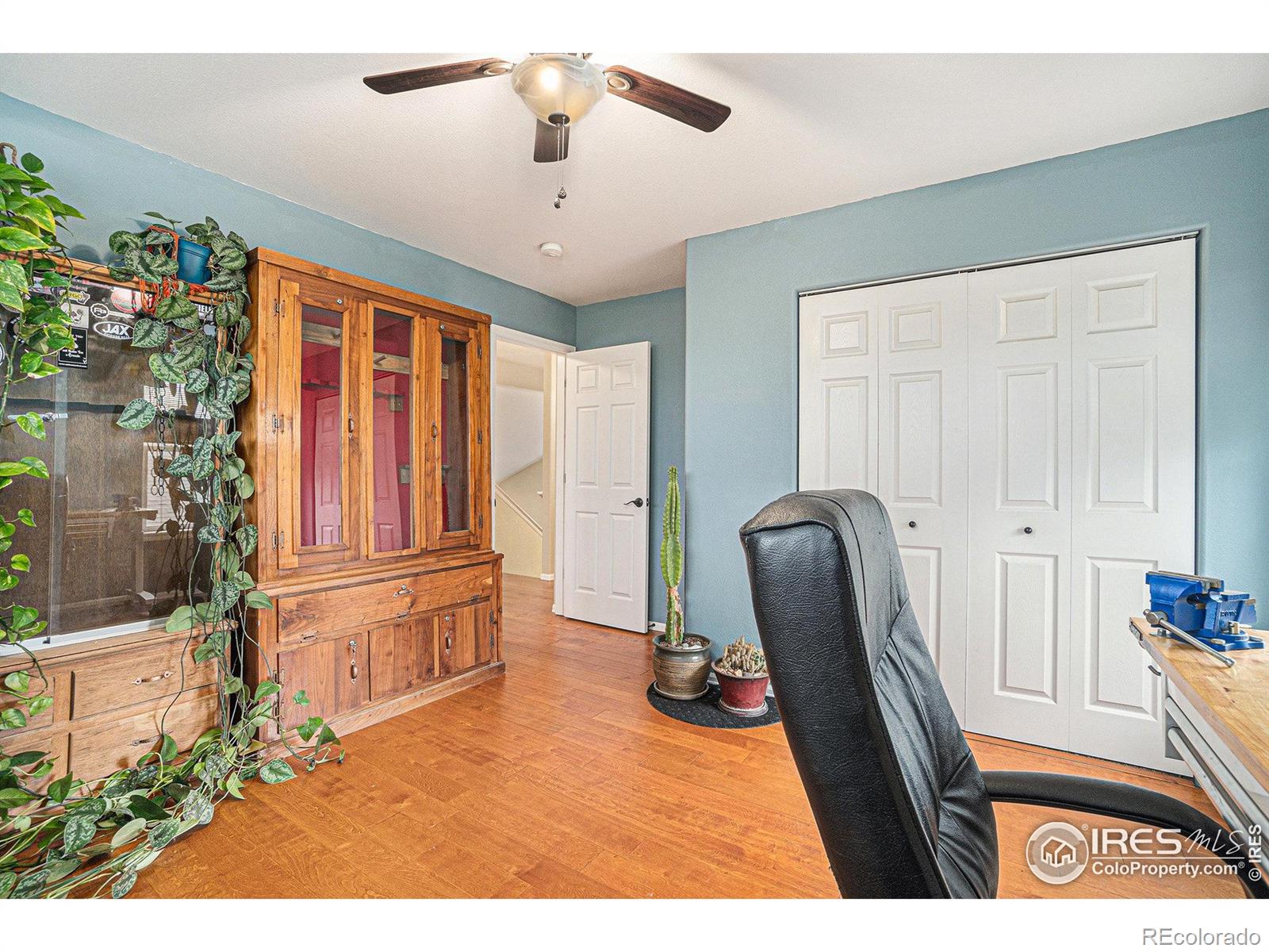 MLS Image #14 for 2502  ballard lane,fort collins, Colorado