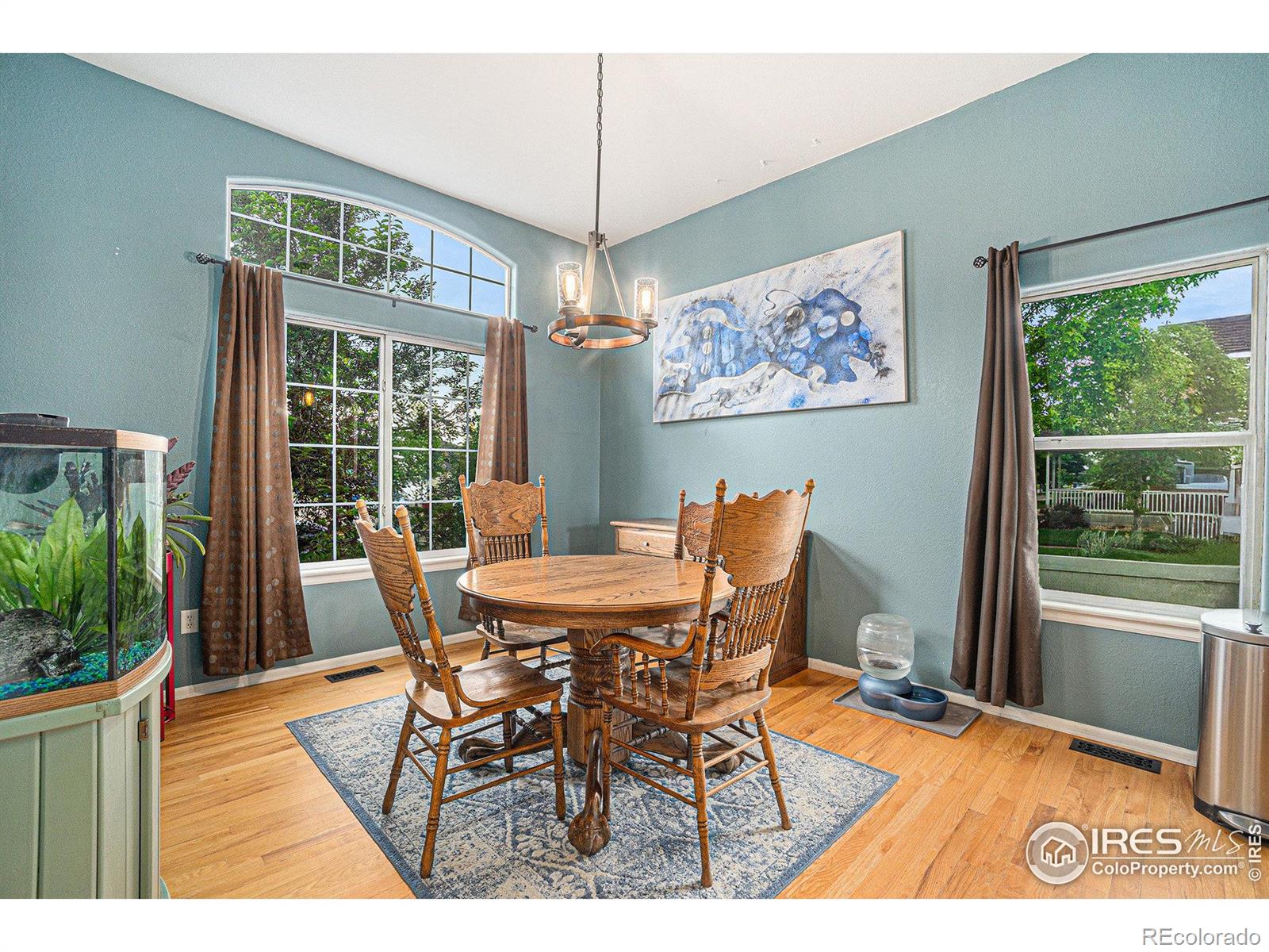 MLS Image #6 for 2502  ballard lane,fort collins, Colorado