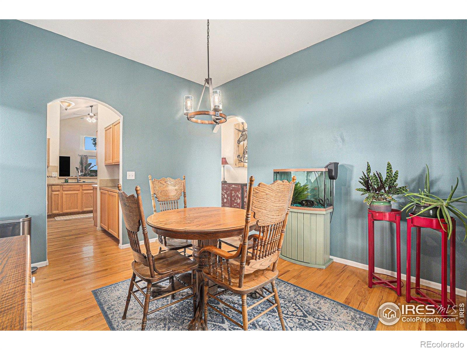 MLS Image #7 for 2502  ballard lane,fort collins, Colorado