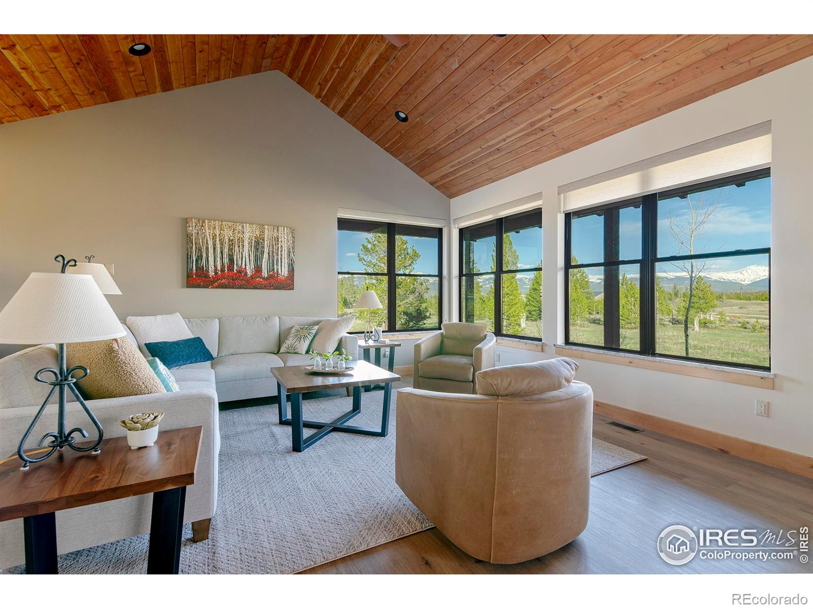 MLS Image #14 for 227  county road 5194 ,tabernash, Colorado