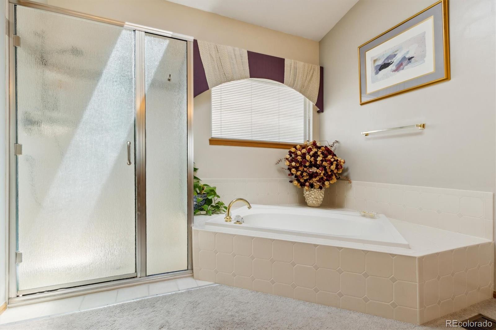 MLS Image #28 for 5134 s ouray court,centennial, Colorado