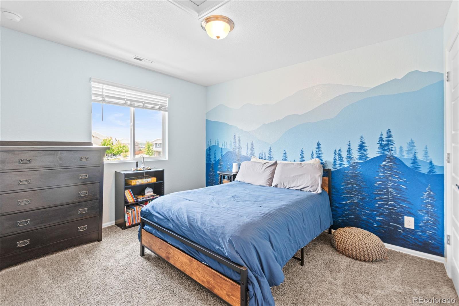 MLS Image #13 for 11684  park south loop,parker, Colorado