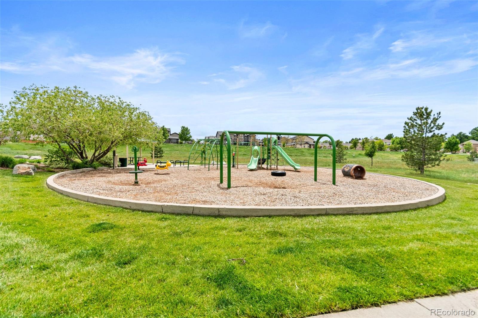 MLS Image #27 for 11684  park south loop,parker, Colorado