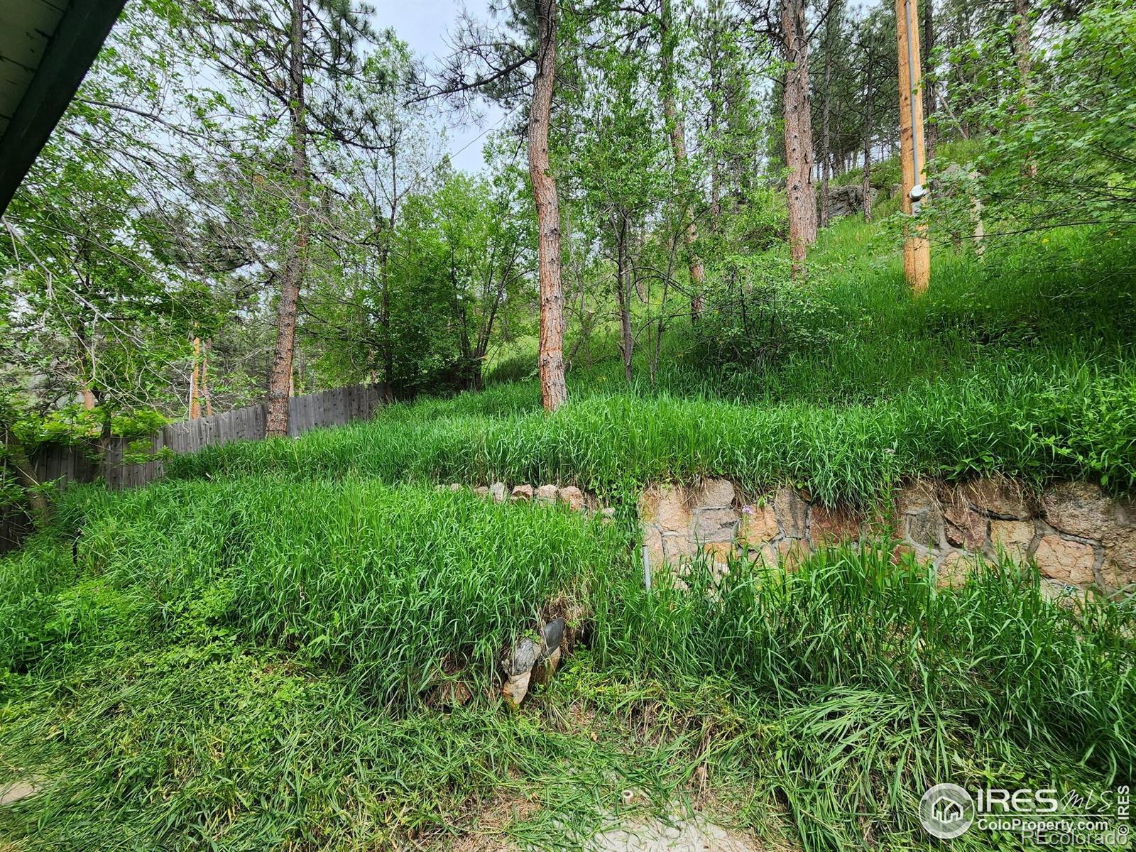 MLS Image #17 for 10313  poudre canyon road,bellvue, Colorado