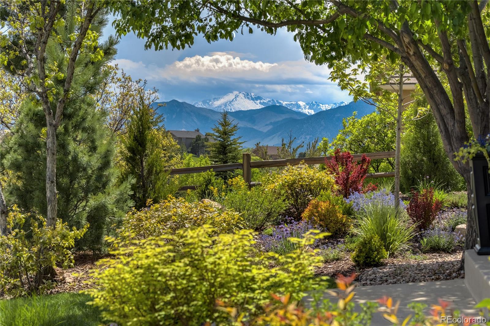 MLS Image #3 for 40  wuthering heights drive,colorado springs, Colorado