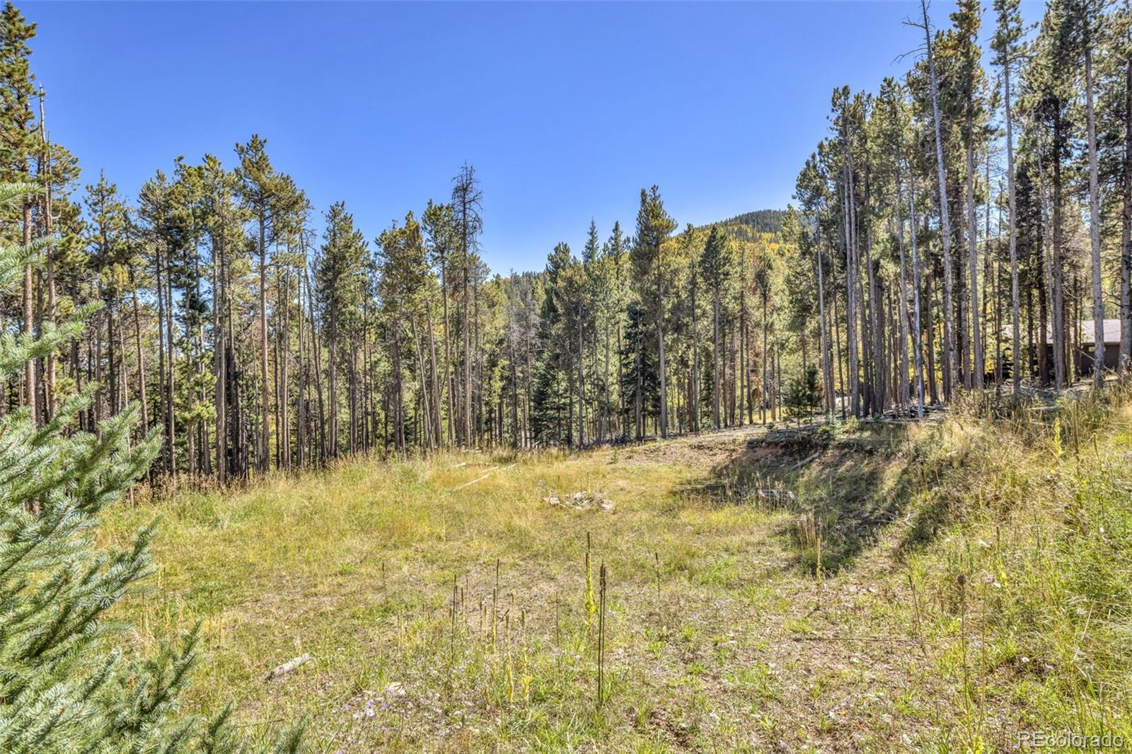 MLS Image #32 for 32252  steven way,conifer, Colorado
