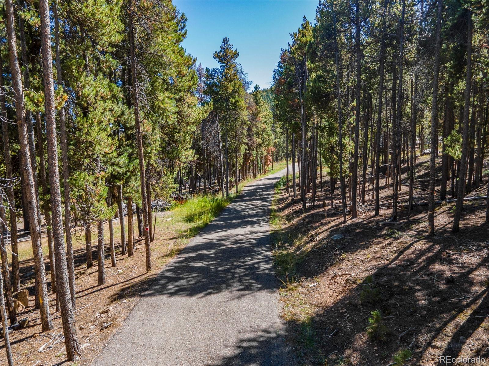 MLS Image #35 for 32252  steven way,conifer, Colorado