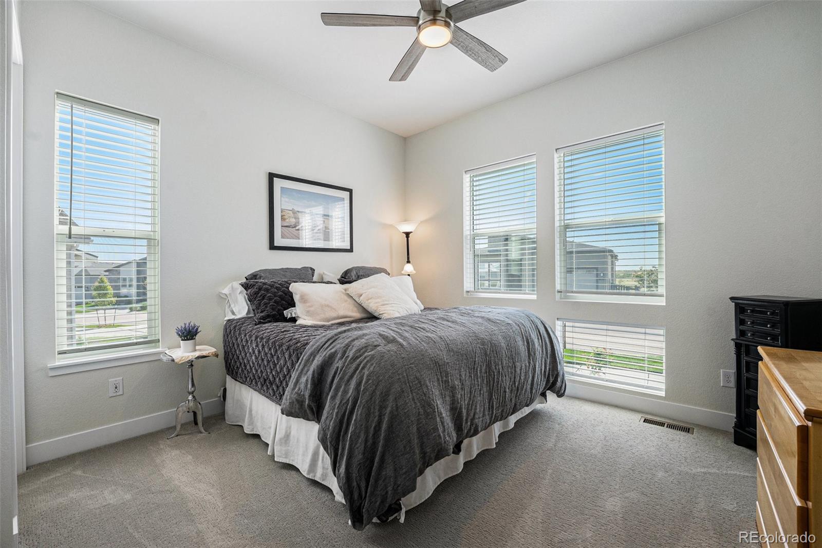 MLS Image #18 for 7169  canyon sky trail,castle pines, Colorado