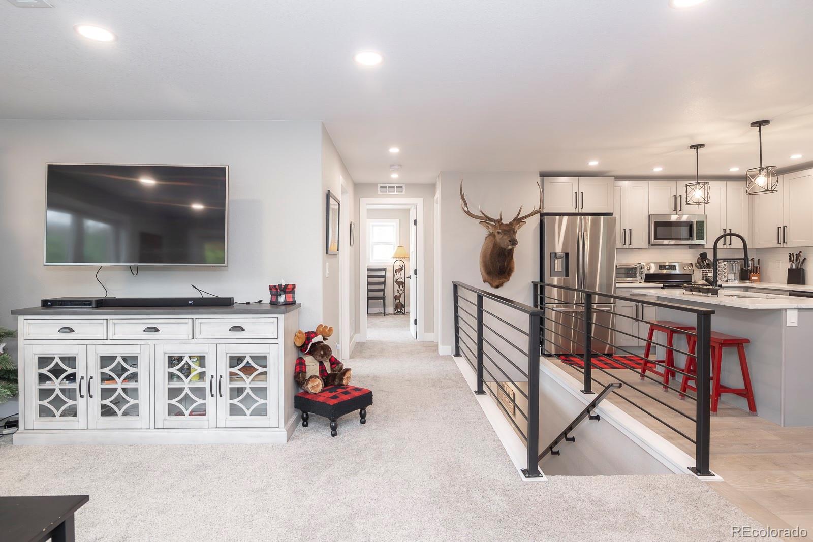 MLS Image #10 for 675  gcr 462 ,grand lake, Colorado