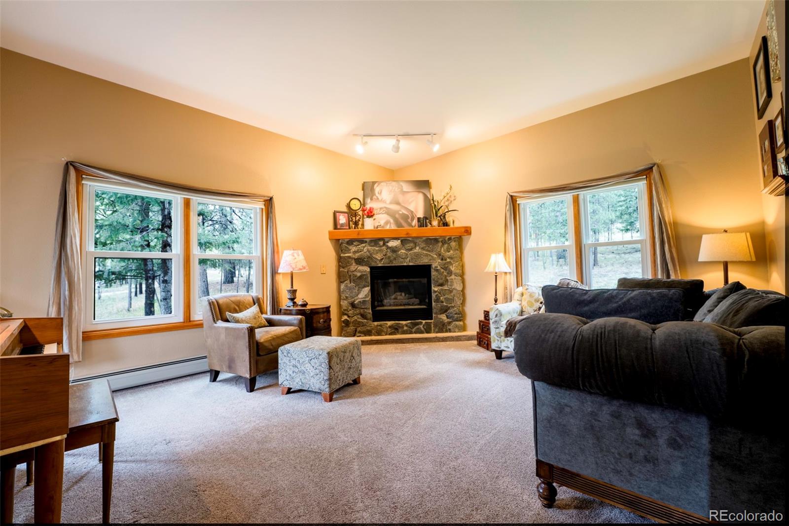 MLS Image #15 for 33  sparrow court,bailey, Colorado