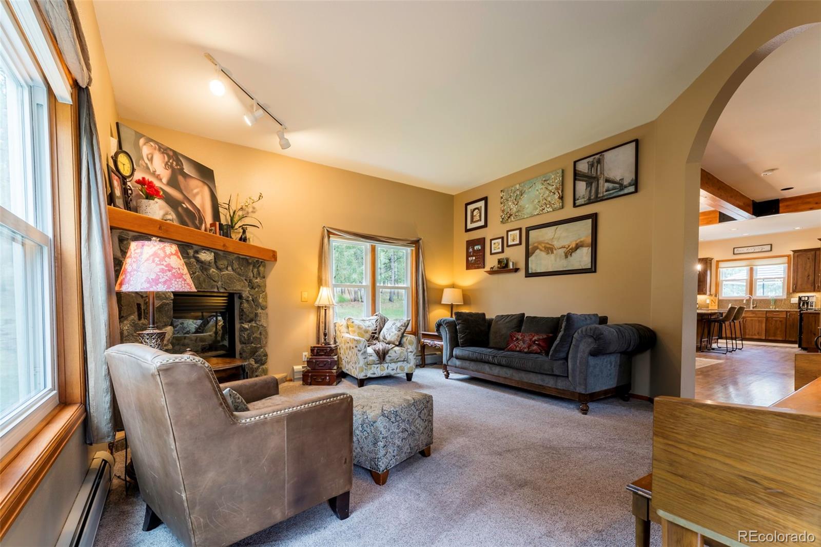 MLS Image #16 for 33  sparrow court,bailey, Colorado