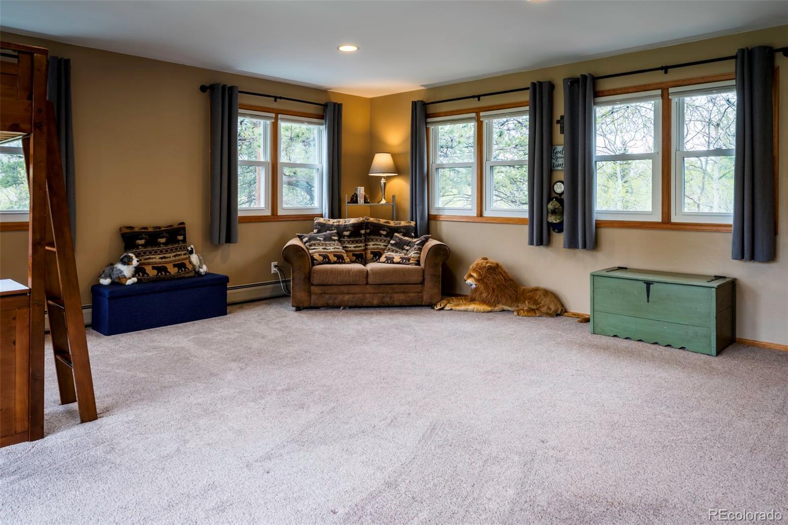 MLS Image #22 for 33  sparrow court,bailey, Colorado