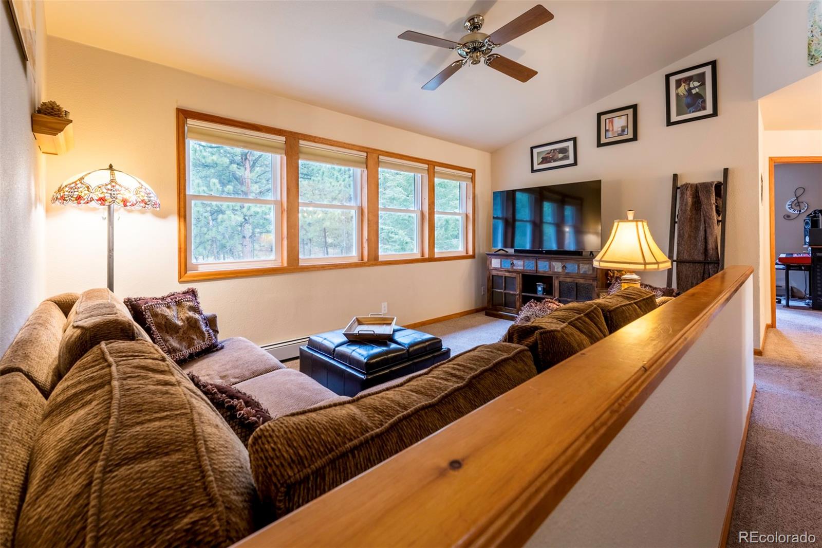 MLS Image #36 for 33  sparrow court,bailey, Colorado