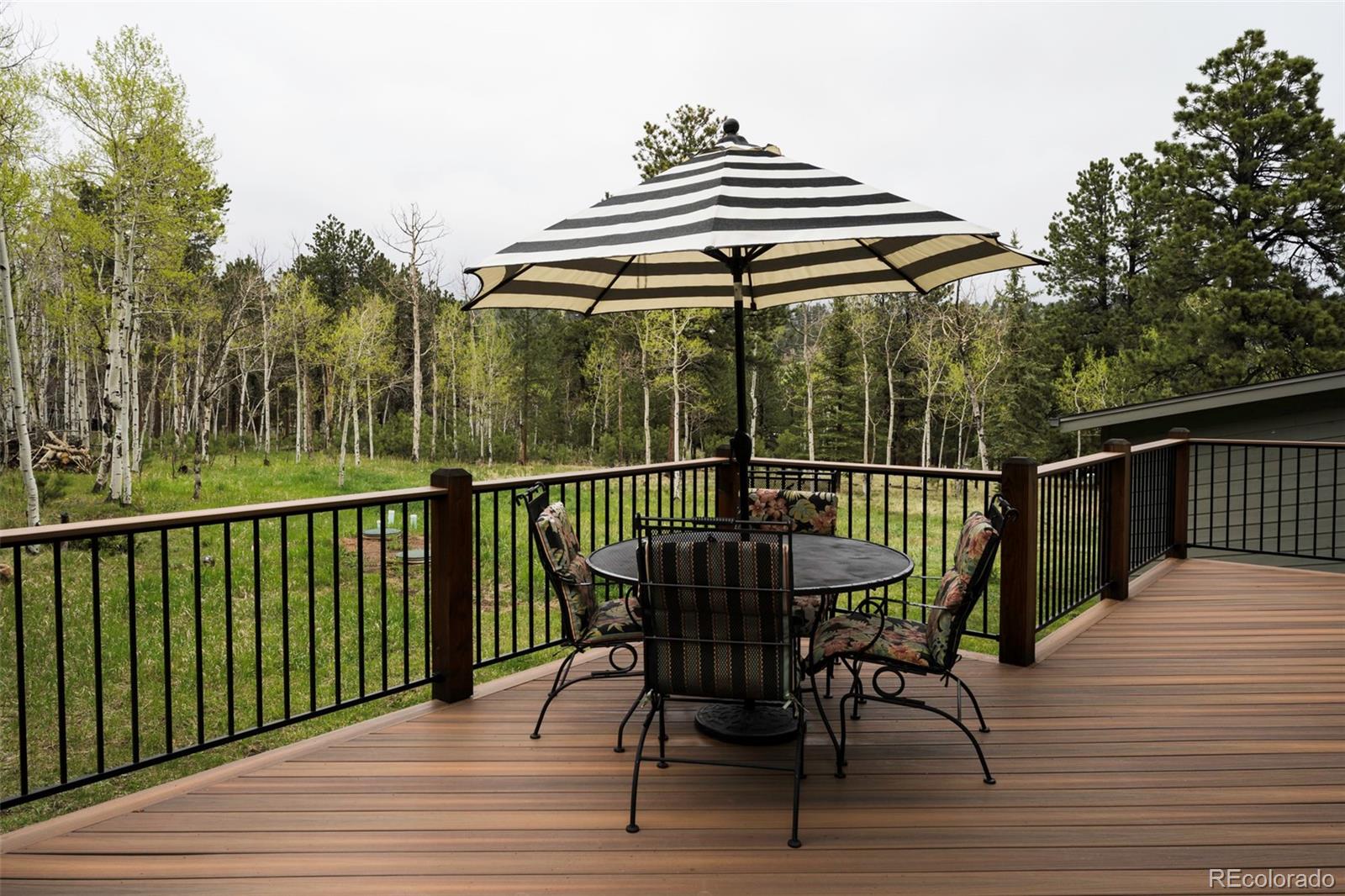MLS Image #40 for 33  sparrow court,bailey, Colorado