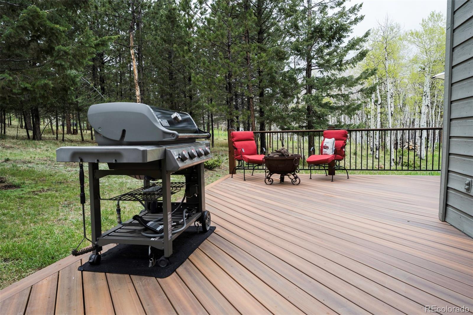 MLS Image #41 for 33  sparrow court,bailey, Colorado