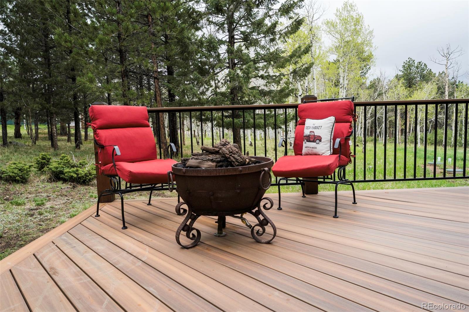 MLS Image #42 for 33  sparrow court,bailey, Colorado