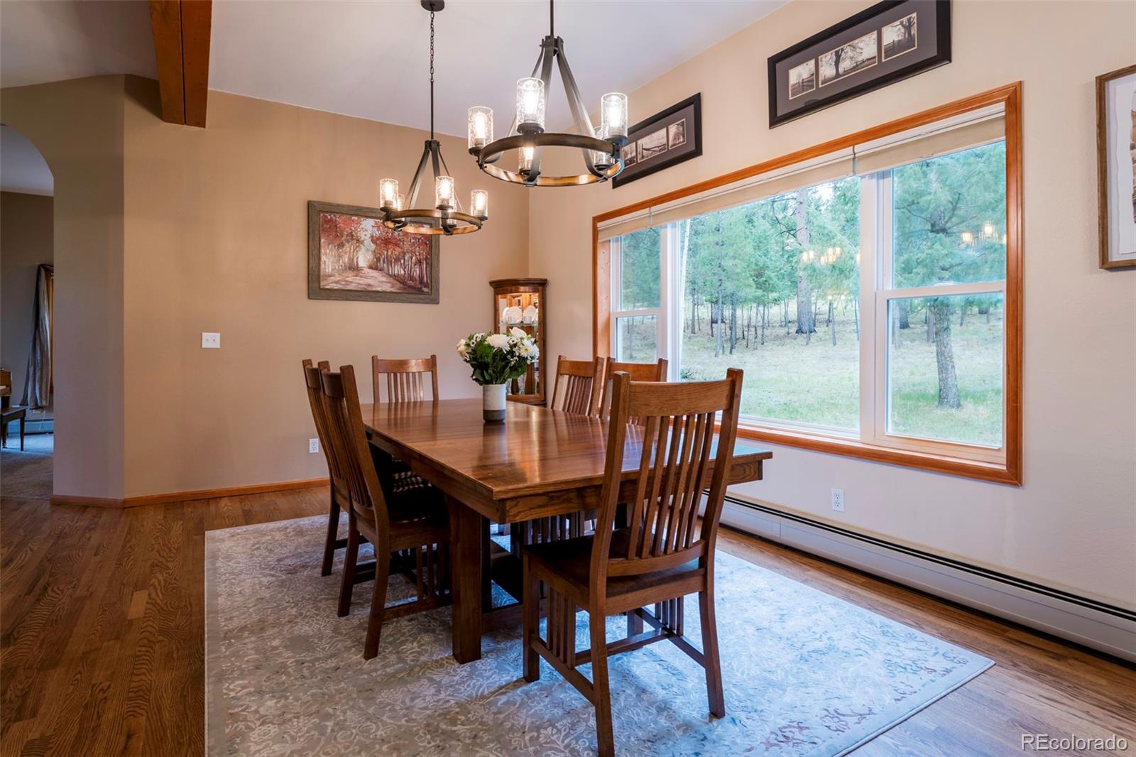 MLS Image #8 for 33  sparrow court,bailey, Colorado