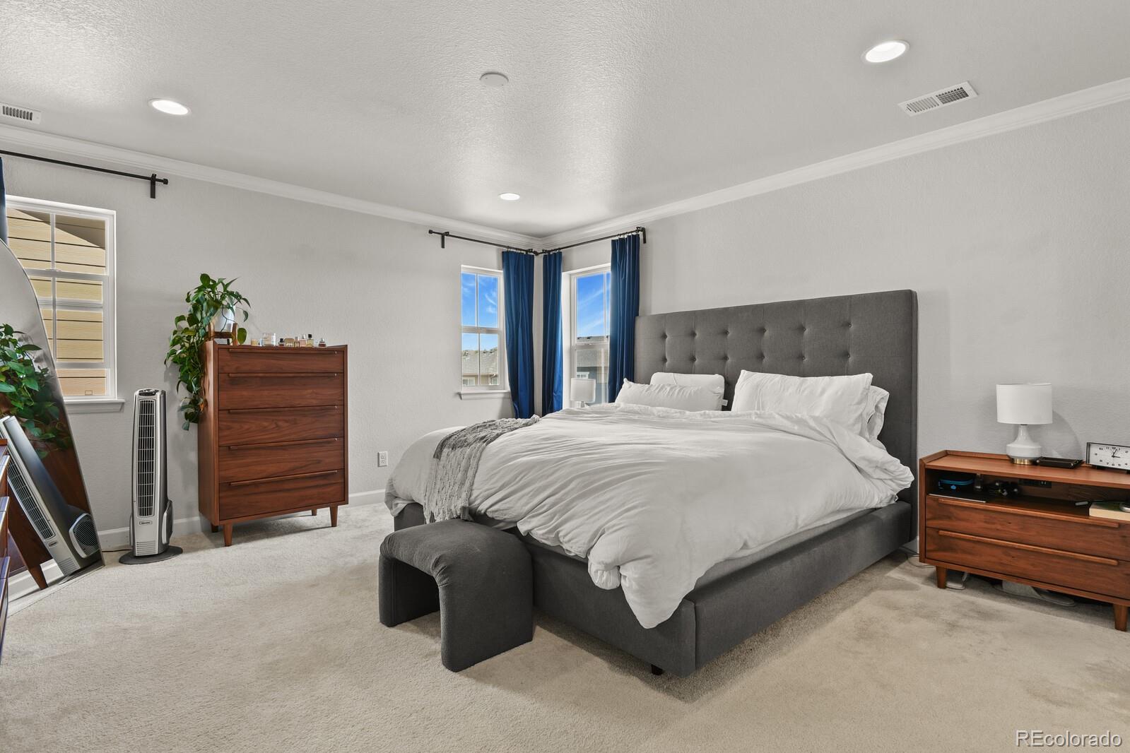 MLS Image #20 for 5446  coltin trail,castle rock, Colorado