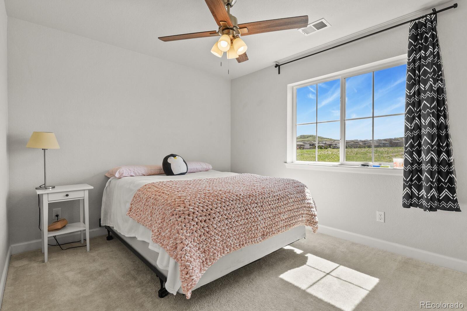 MLS Image #24 for 5446  coltin trail,castle rock, Colorado