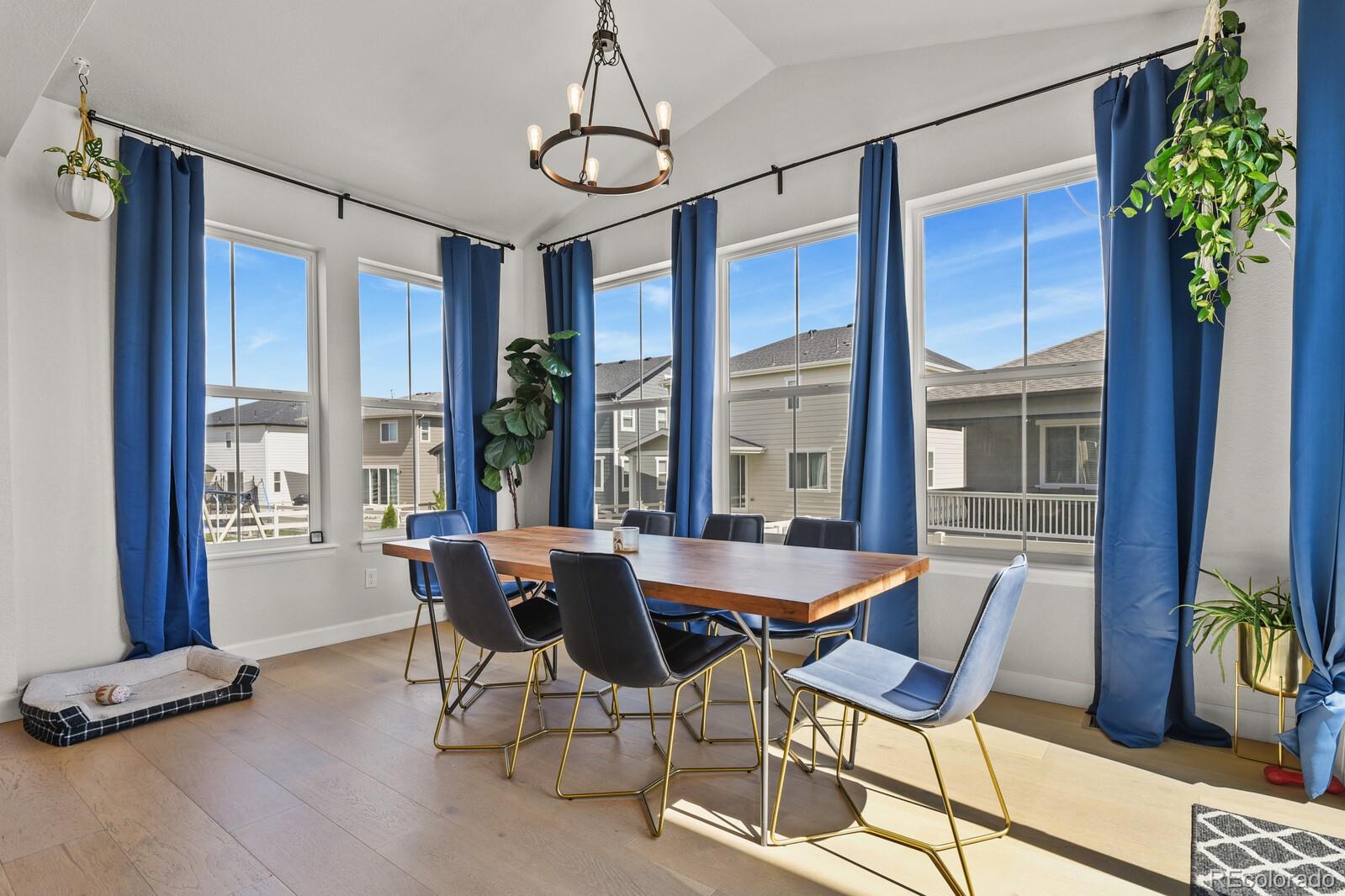 MLS Image #9 for 5446  coltin trail,castle rock, Colorado