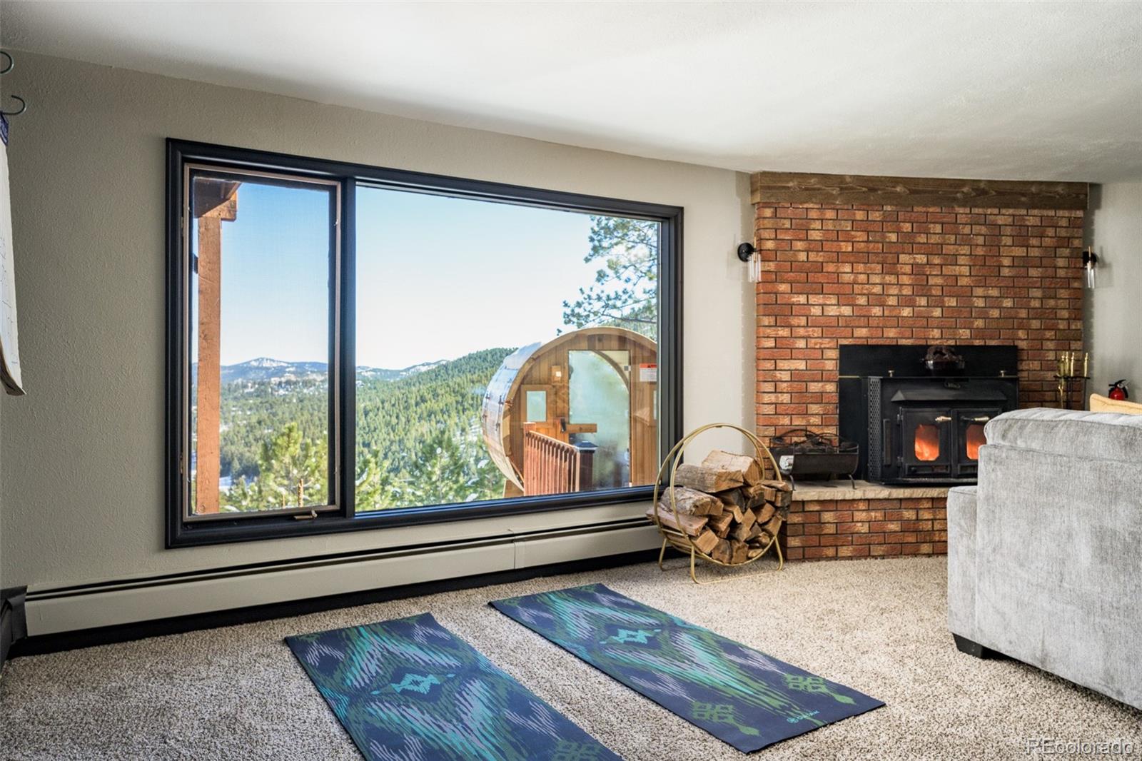 MLS Image #15 for 610  meadow view drive,evergreen, Colorado