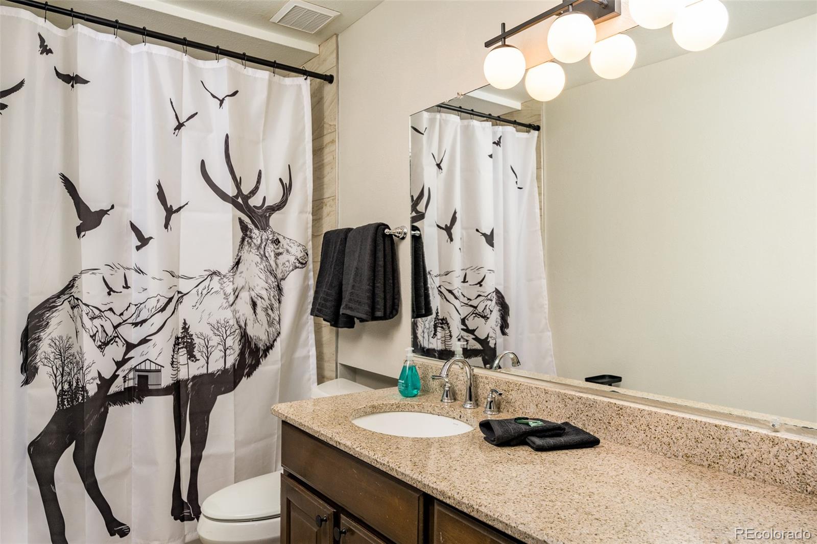 MLS Image #28 for 610  meadow view drive,evergreen, Colorado