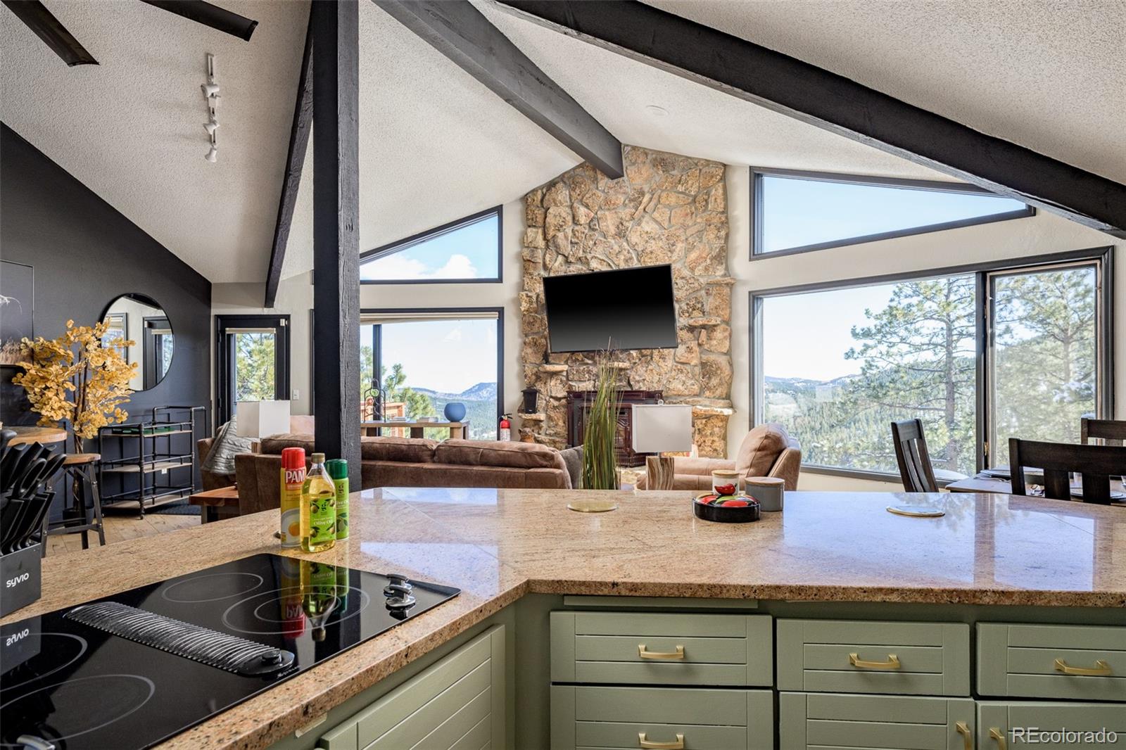 MLS Image #9 for 610  meadow view drive,evergreen, Colorado