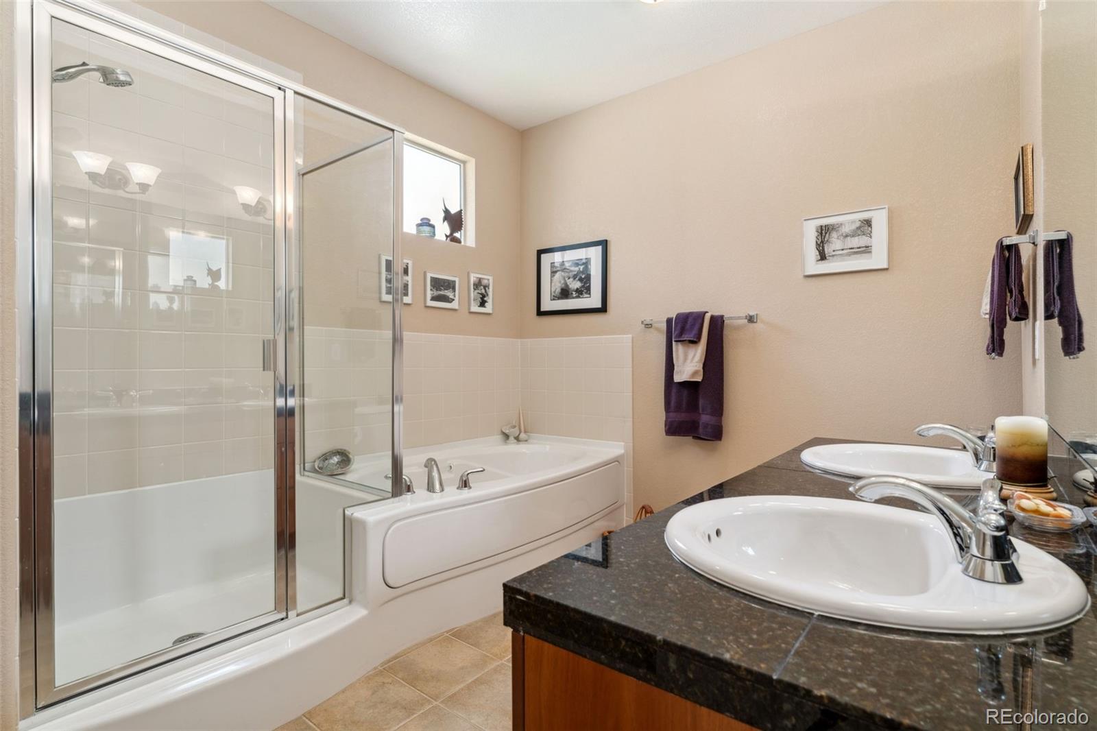 MLS Image #16 for 8595  gold peak drive,highlands ranch, Colorado