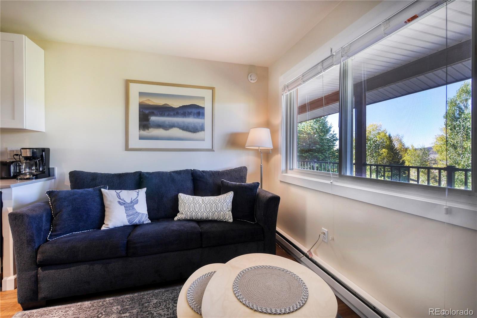 MLS Image #10 for 3295  apres ski way,steamboat springs, Colorado