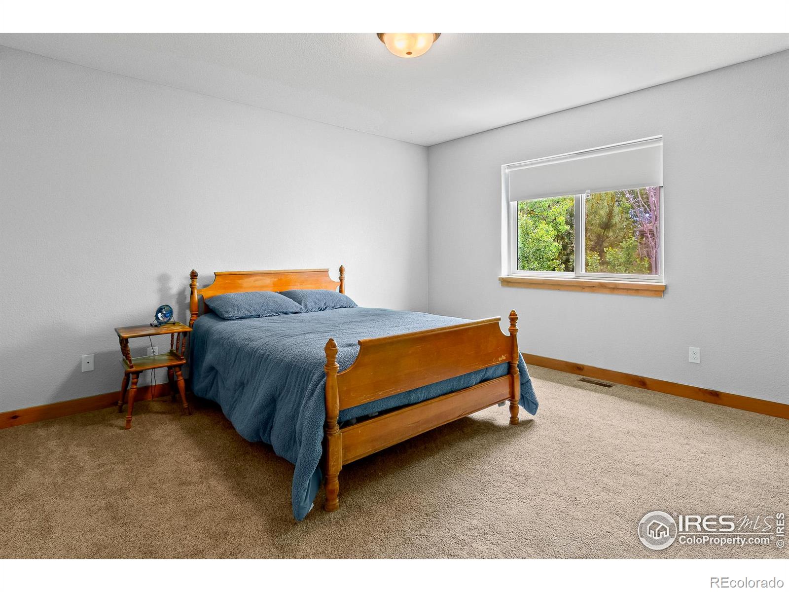 MLS Image #20 for 2862  ariel drive,loveland, Colorado