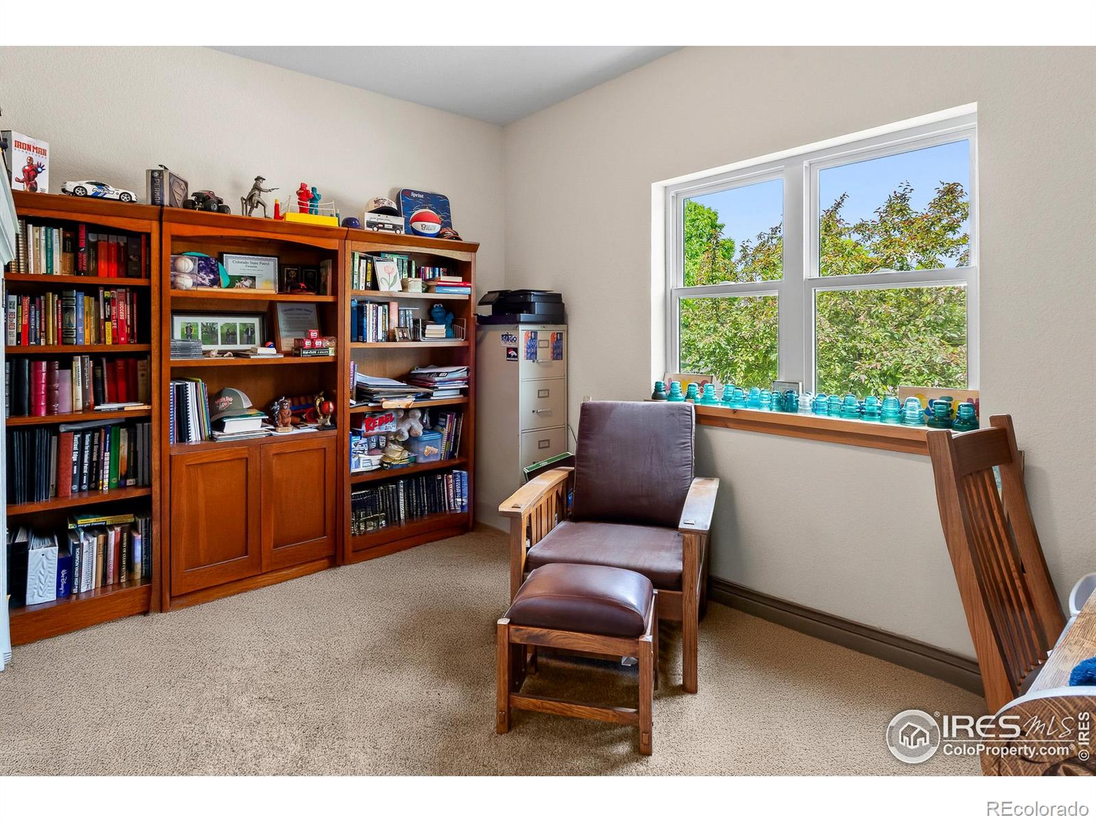 MLS Image #8 for 2862  ariel drive,loveland, Colorado