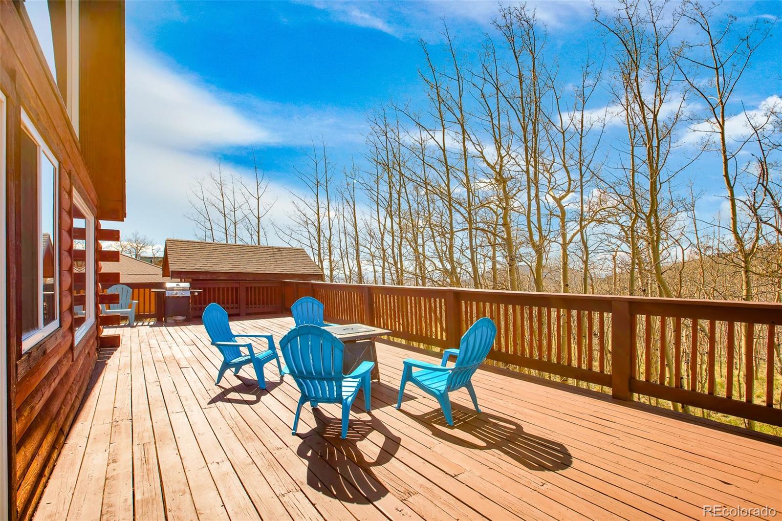 MLS Image #11 for 82  sheep ridge road,fairplay, Colorado