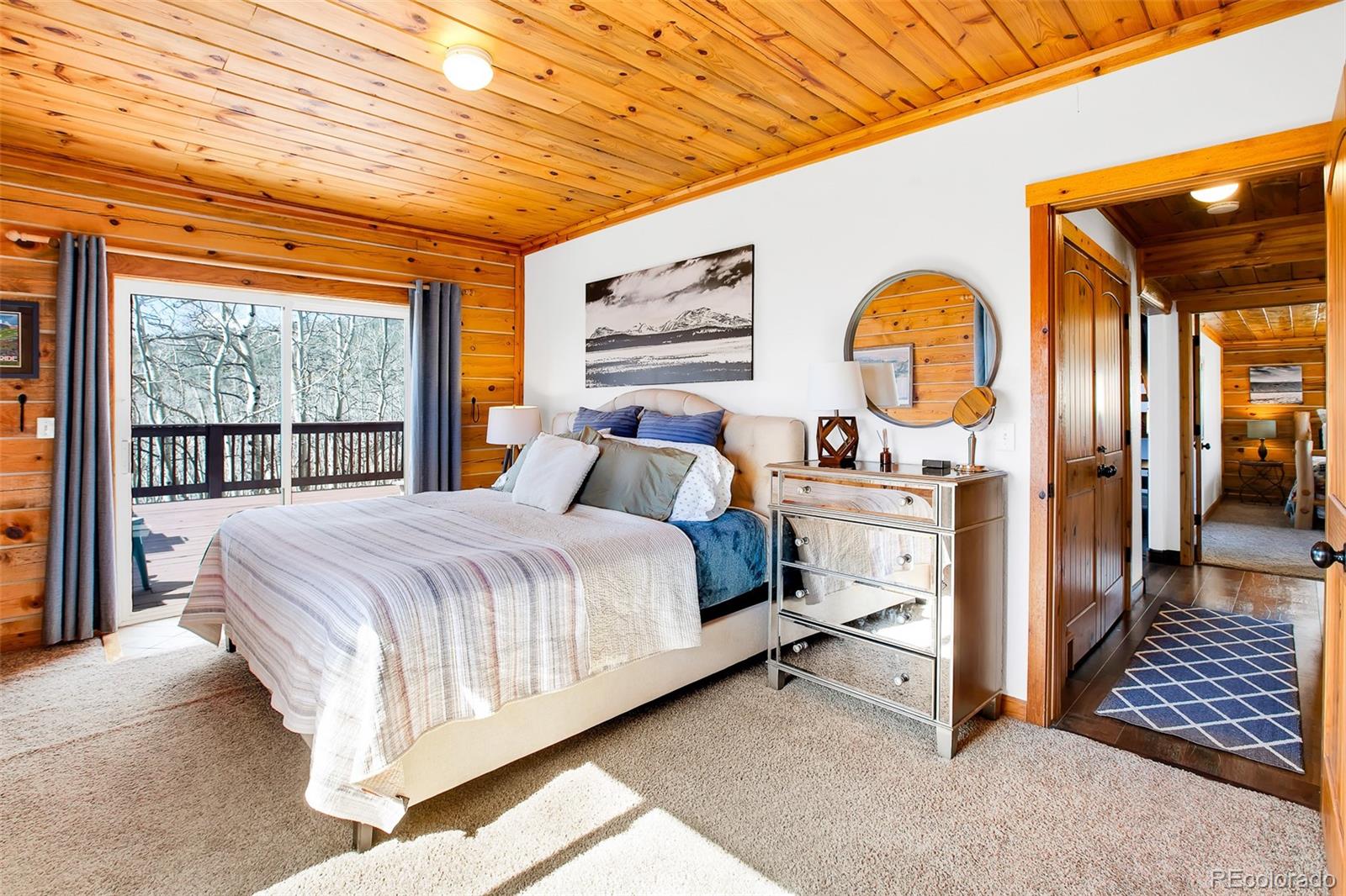 MLS Image #14 for 82  sheep ridge road,fairplay, Colorado