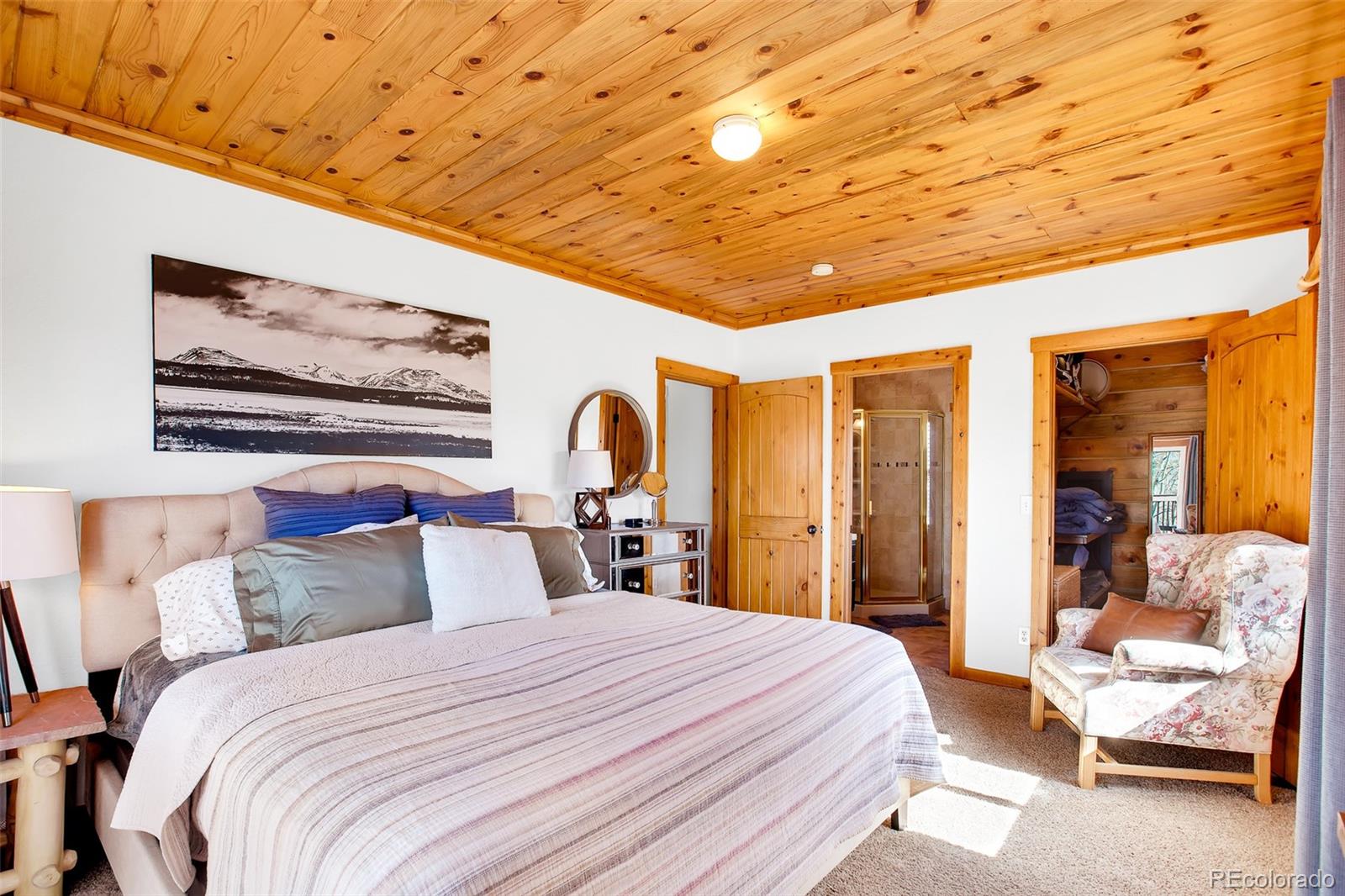 MLS Image #15 for 82  sheep ridge road,fairplay, Colorado