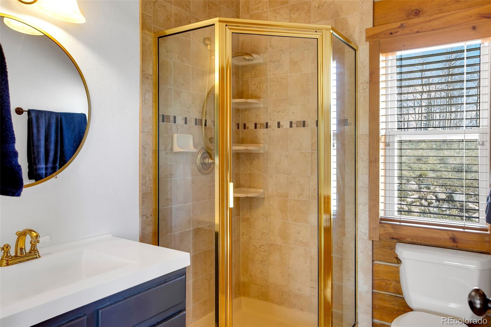 MLS Image #17 for 82  sheep ridge road,fairplay, Colorado