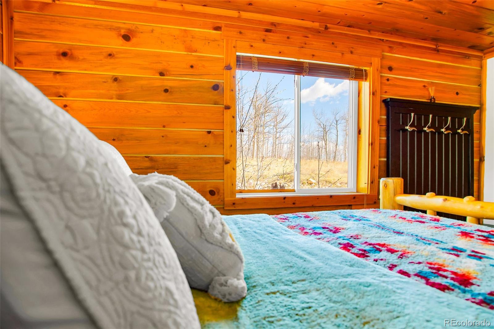 MLS Image #20 for 82  sheep ridge road,fairplay, Colorado