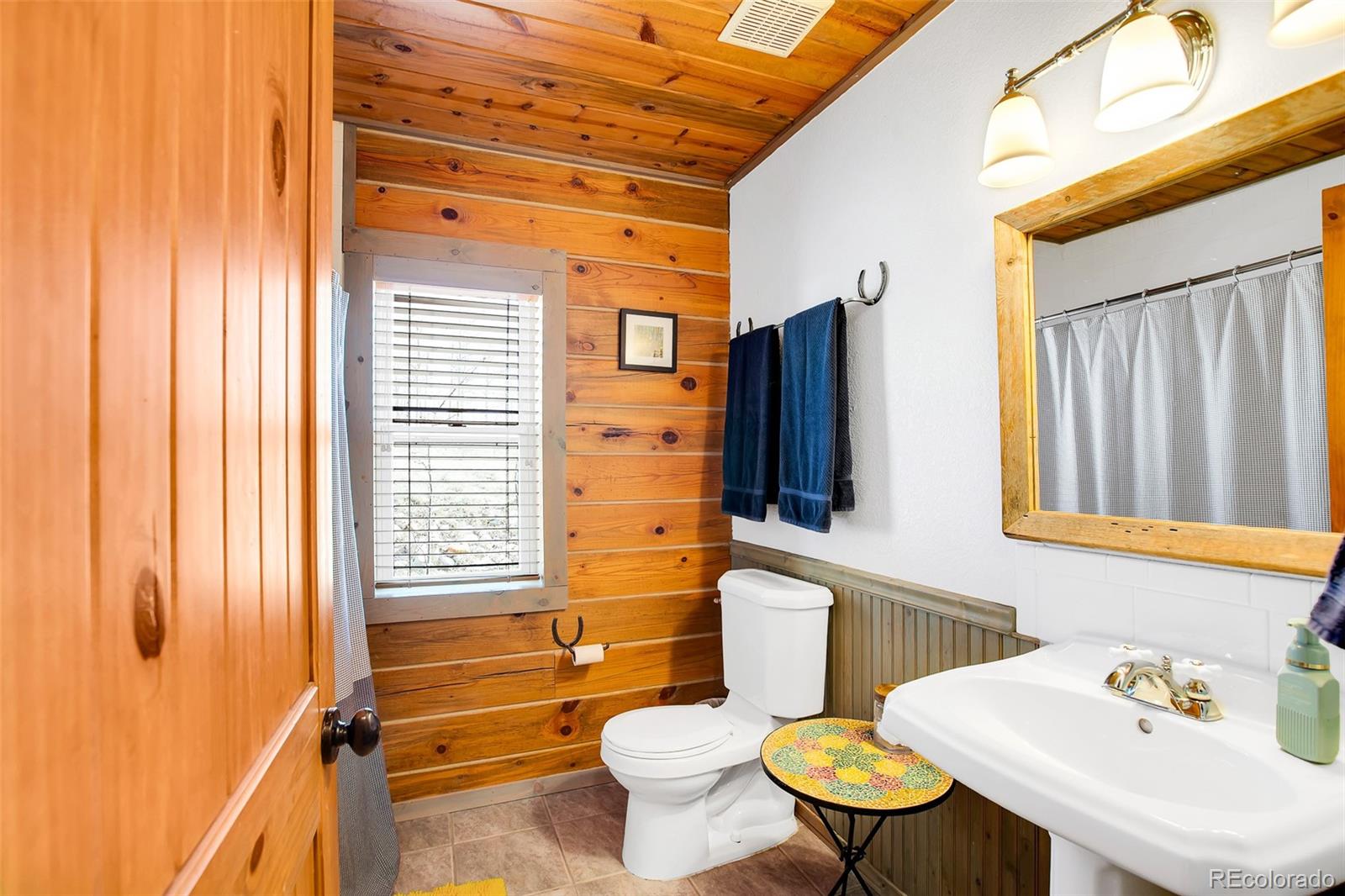 MLS Image #22 for 82  sheep ridge road,fairplay, Colorado