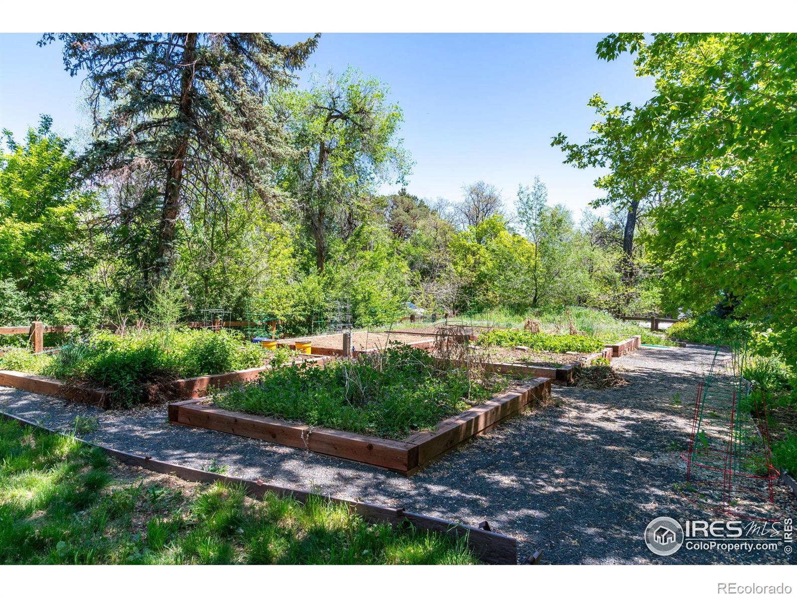 MLS Image #34 for 3341  yukon court,wheat ridge, Colorado