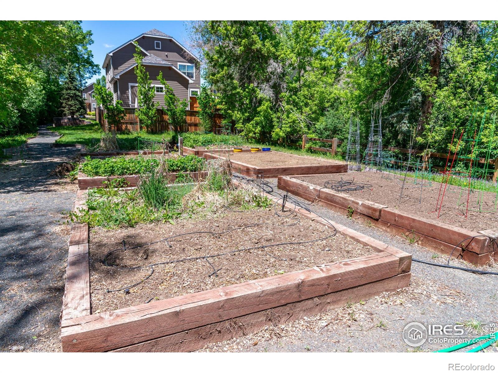 MLS Image #35 for 3341  yukon court,wheat ridge, Colorado