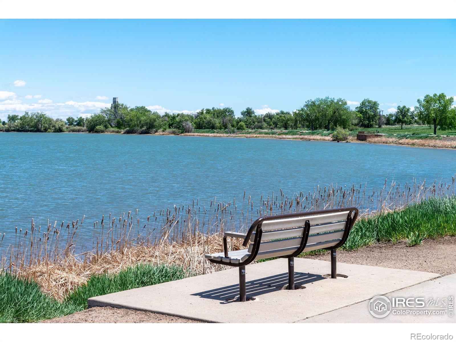 MLS Image #37 for 3341  yukon court,wheat ridge, Colorado