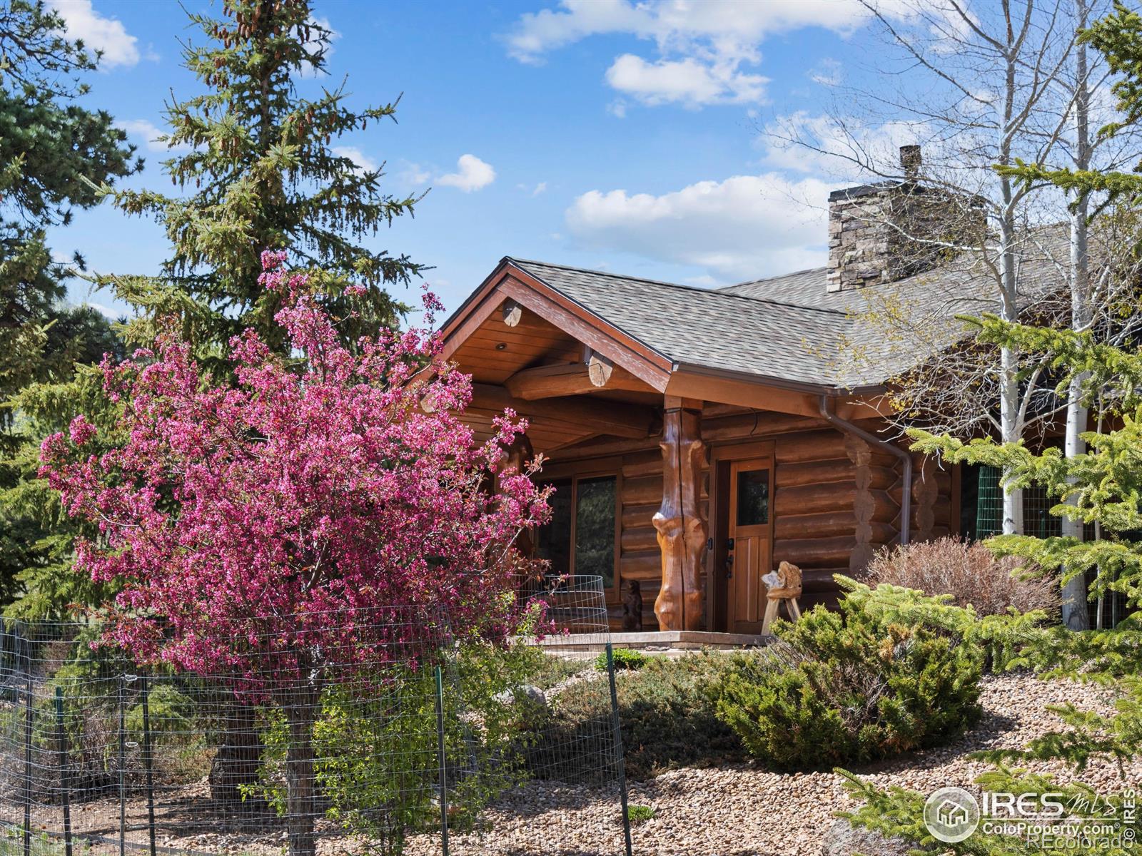MLS Image #4 for 2030  cherokee drive,estes park, Colorado